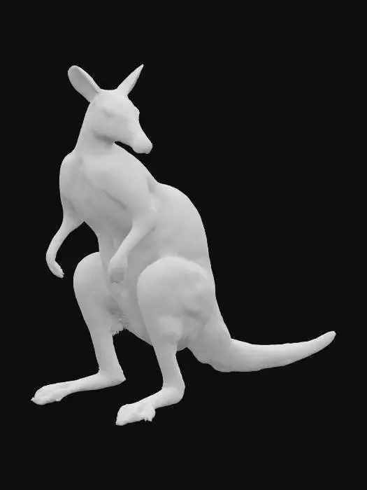 3D model for Kangaroo_