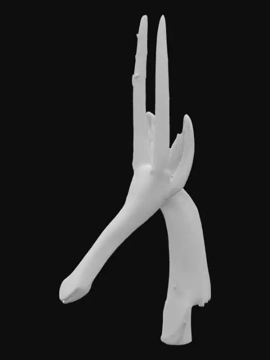 3D model for Kurumba_