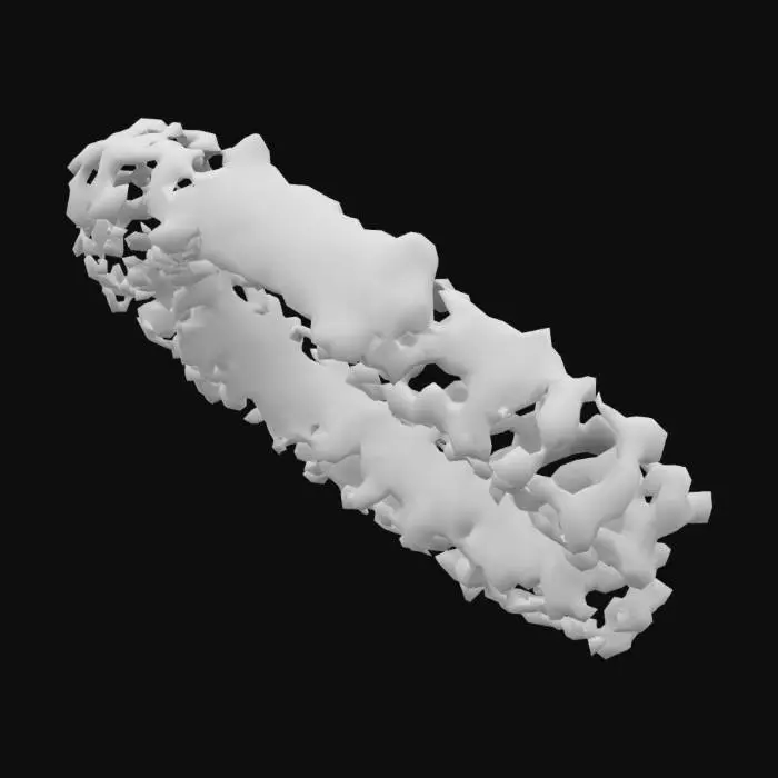 3D model for bracelet a trous 2838_retextu_