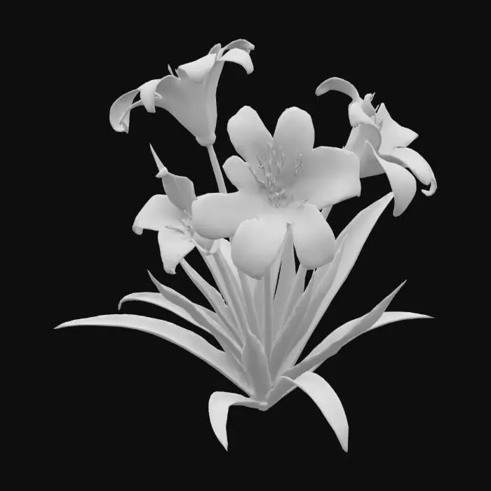 3D model for Lilium lancifolium