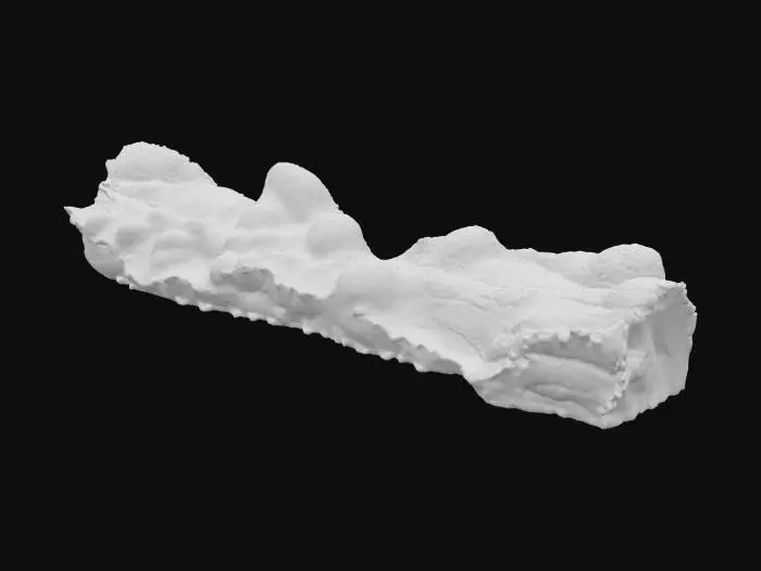 3D model for Crispy Bacon Strip