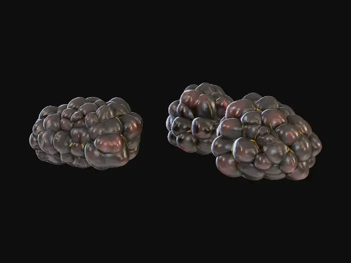 3D model for Blackberries Trio