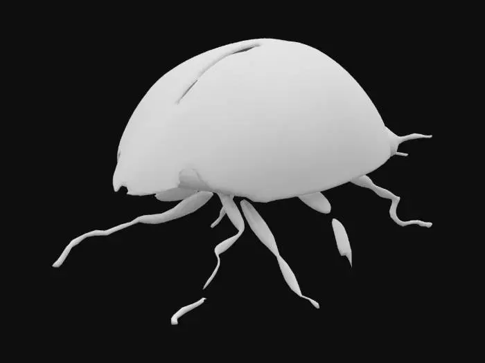 3D model for ladybug 