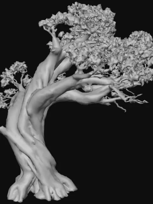 3D model for Un vecchio albero da foresta un po immevato e sporco