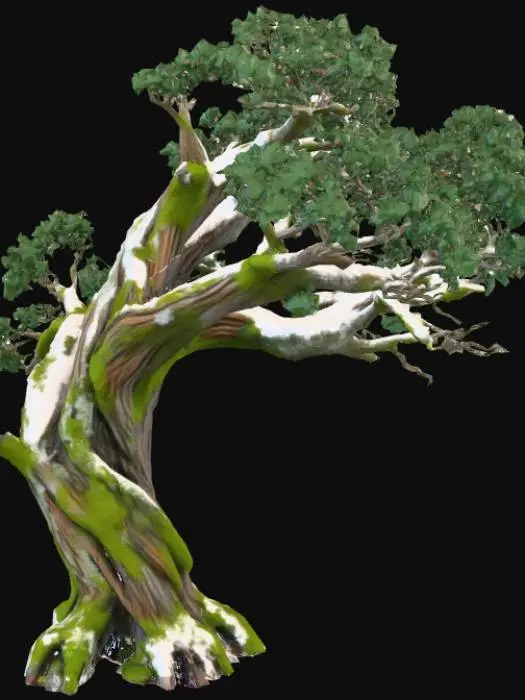 3D model for Un vecchio albero da foresta un po immevato e sporco