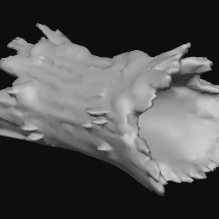 3D model for Un vecchio tronco da foresta un po immevato e sporco