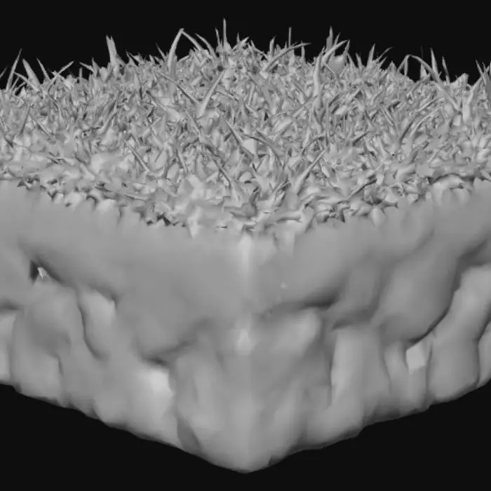 3D model for Grass Block