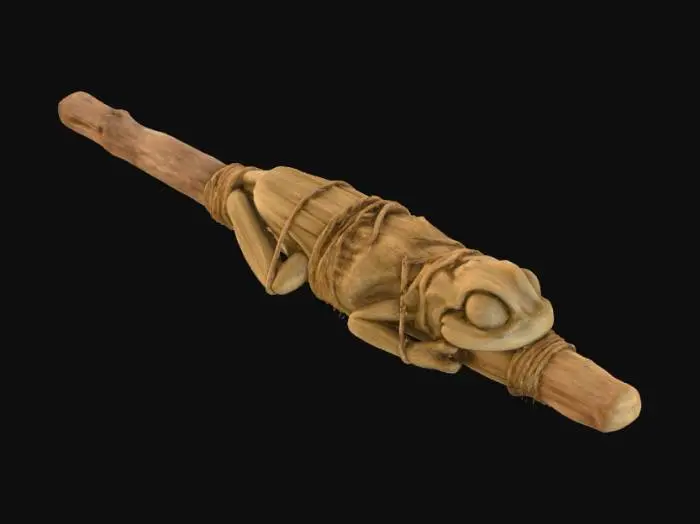 3D model for Preserved Frog Wand