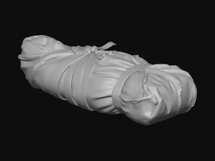 3D model for Wrapped Bundle