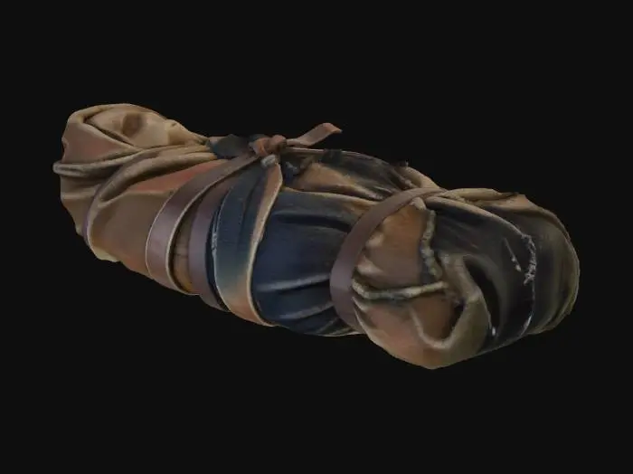 3D model for Wrapped Bundle