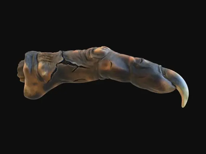 3D model for Charred Claw