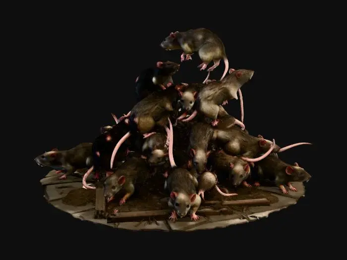 3D model for Rat Mountain