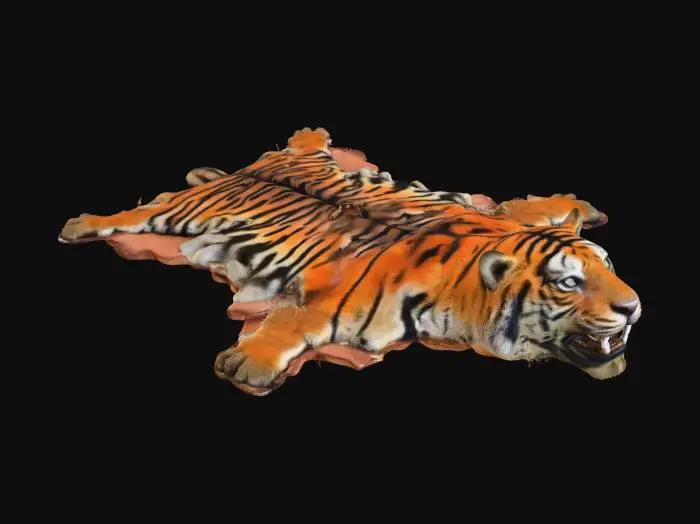 3D model for Rotting Tiger Skin Rug