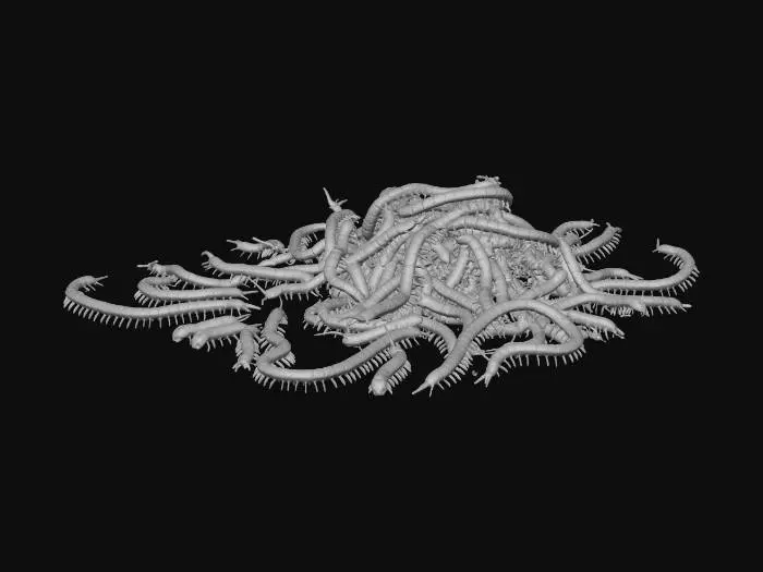 3D model for Swarm of Centipedes