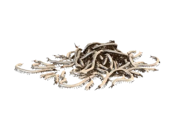 Swarm of Centipedes - Gross 3D model, vytvořený pomocí AI