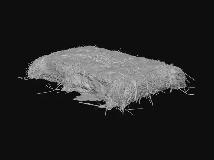 3D model for Moldy Straw Pallet 2