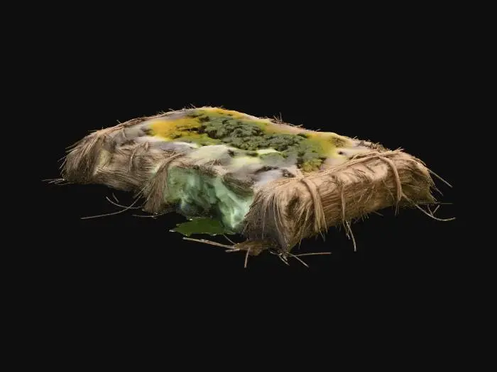 3D model for Moldy Straw Pallet 2