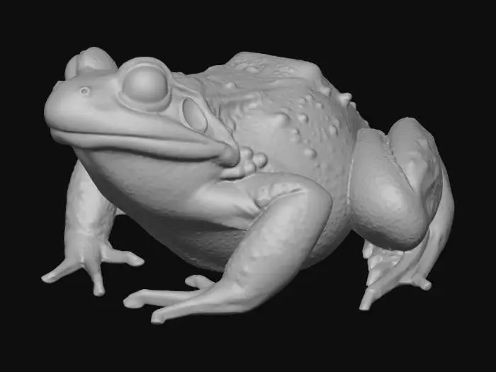 3D model for Common Frog