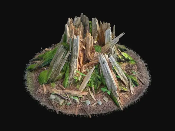 3D model for Broken Rotten Stump