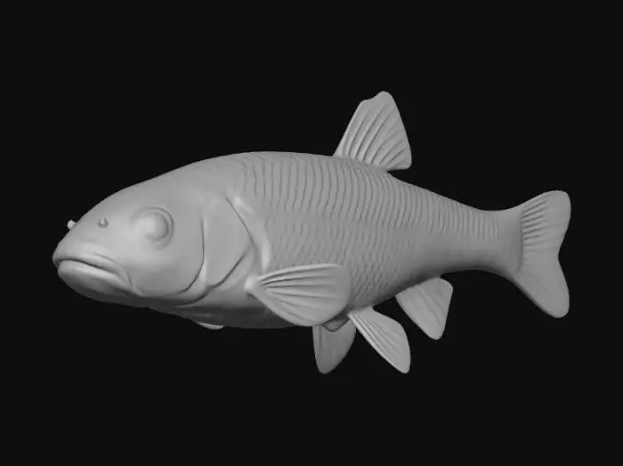 3D model for Barovian Minnow