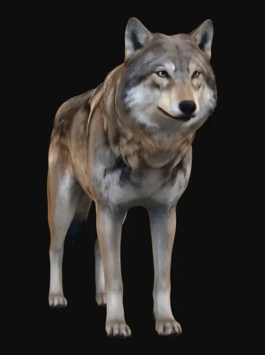 3D model for Lone Timber Wolf