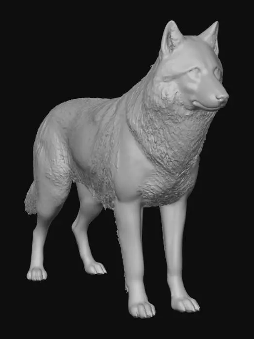 3D model for Midnight Howl