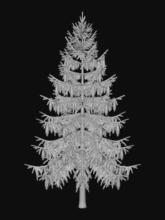 3D model for Mature Norway Spruce