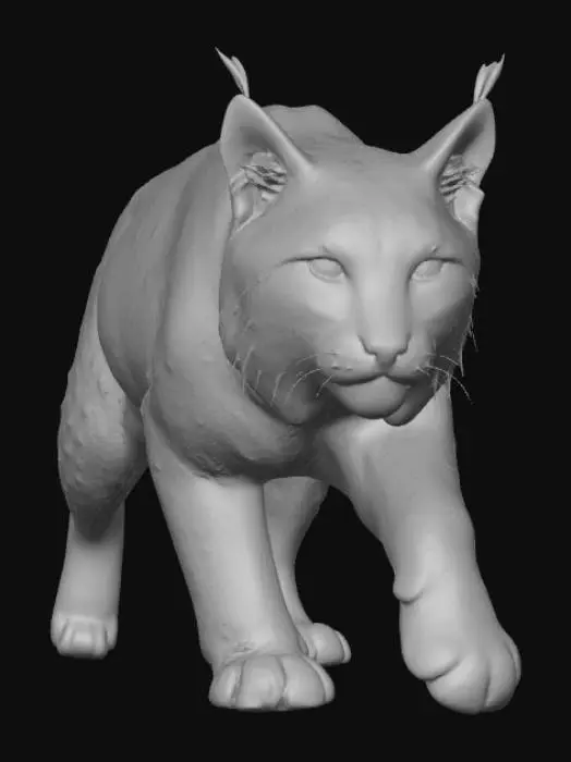 3D model for Carpathian Lynx