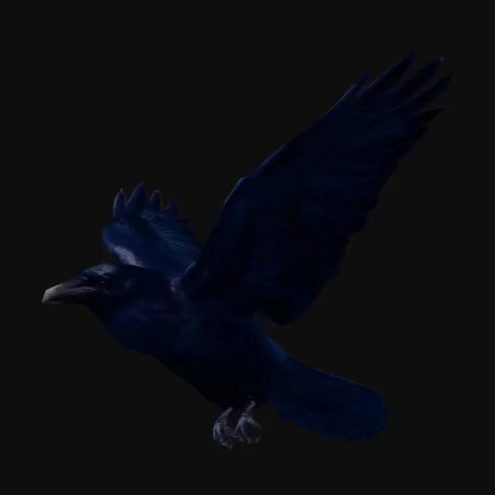 3D model for Raven in Flight