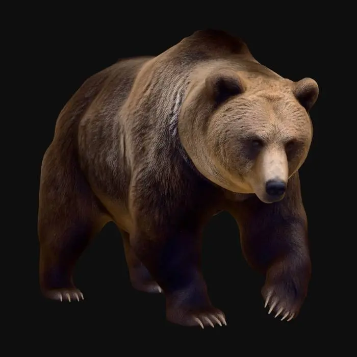 3D model for Eurasian Brown Bear