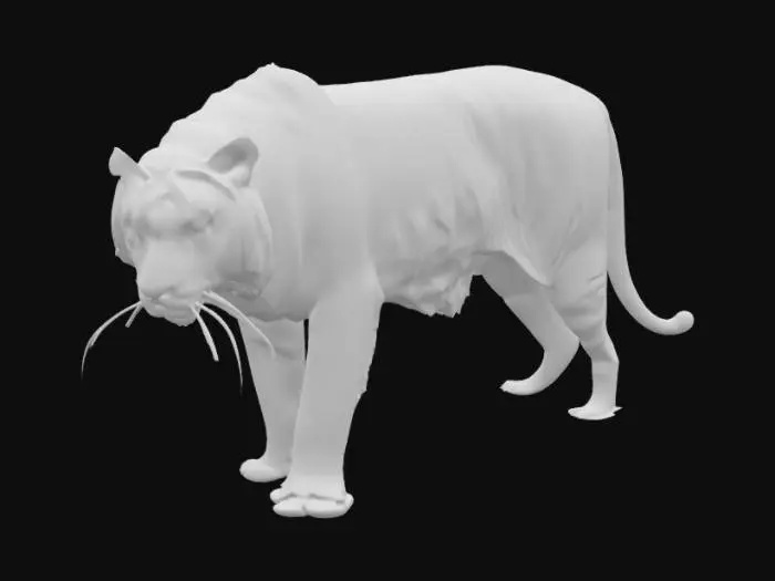 3D model for Bengal Tiger