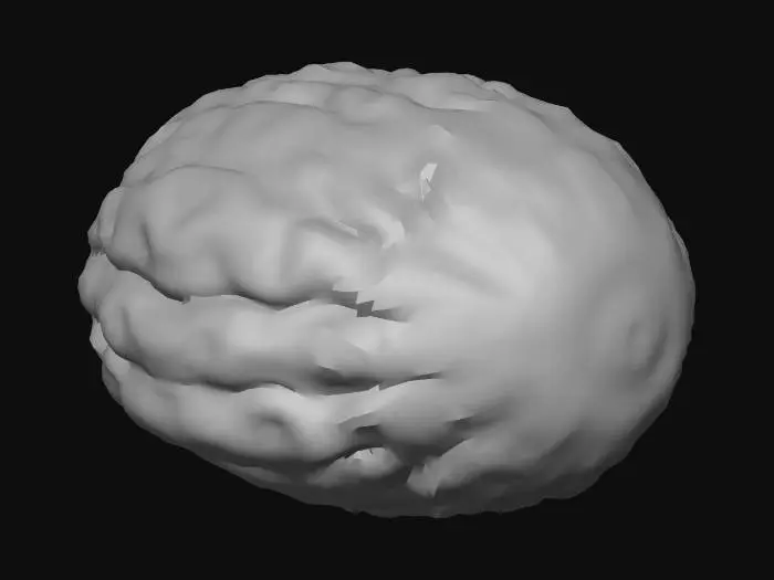 3D model for A Walnut