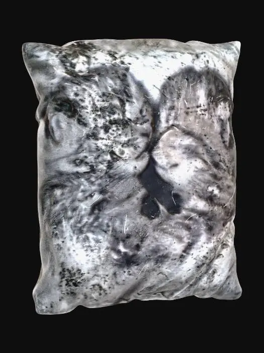 3D model for Moldy Rag on Stone