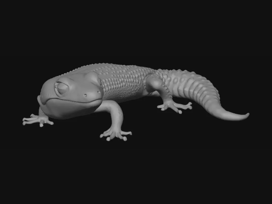 gecko
