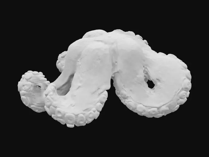 3D model for close-up of a rugged octopus tentacle, thick and powerful, torn suction cups, deep scars, subsurface scattering skin (RGB 180,90,80), slime and ocean residue, glowing regenerated tip, rust stains, moist reflective surface, photorealistic, 8K normal map, dynamic ink mask, asymmetrical damage, cinematic lighting, hyperrealistic texture, wet gloss, deep sea creature, AAA game model reference