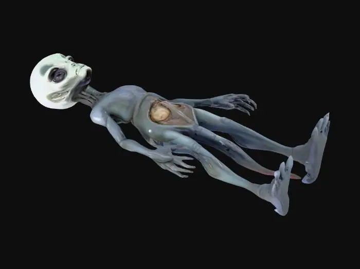 3D model for 一個外星人的3D模型，平躺在一個冰冷、光滑的金屬解剖台上，呈現出被精確檢視的狀態。其身軀細長，皮膚呈現一種蒼白的青灰色，表面光滑且略帶濕潤感。頭部比例較大，兩顆深邃的黑色杏仁狀眼睛緊閉。軀幹處有幾道清晰、筆直的切口，揭示出內部非人類的複雜器官結構，這些結構色彩獨特，可能呈現出深紫色或藍色的半透明質感，展現出高度異於地球生物的精密生理構造。