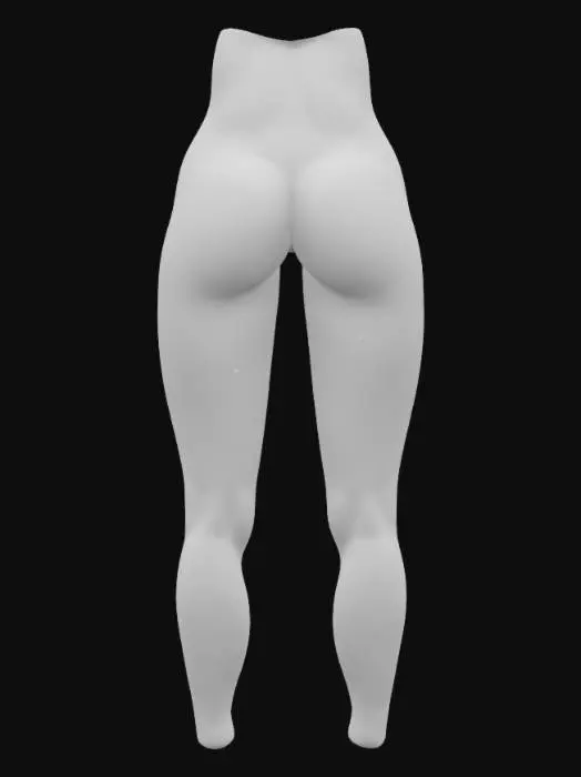 3D model for 蜜大腿特寫 從肚臍到膝蓋 