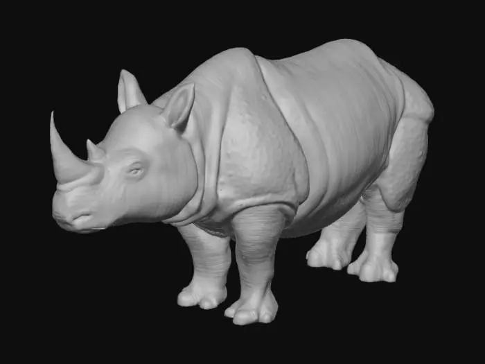 3D model for Rhinoceros
