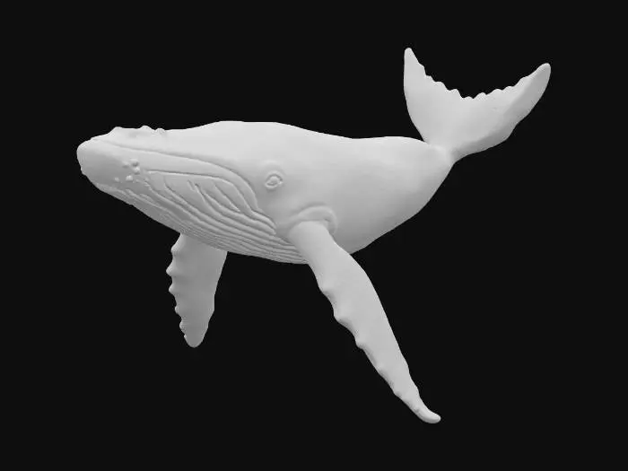 3D model for Aquatic Essence