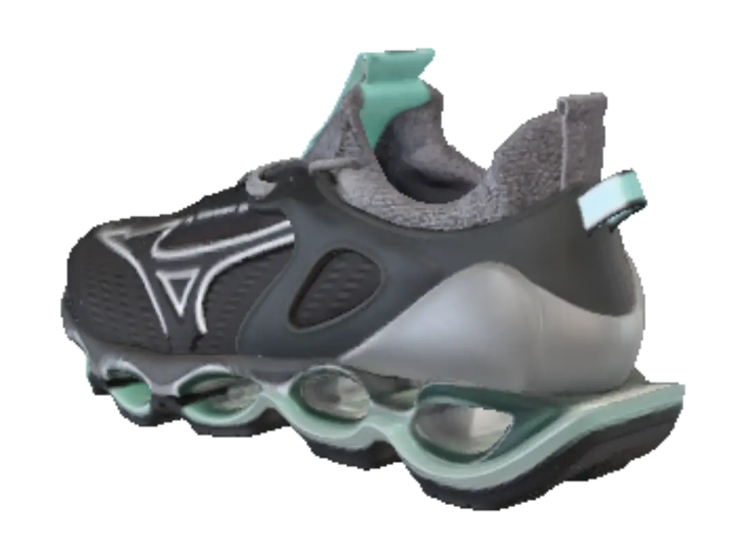 shoe