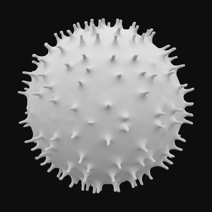 3D model for Microscopic image of zucchini pollen
