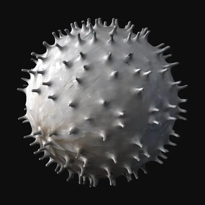 3D model for Microscopic image of zucchini pollen