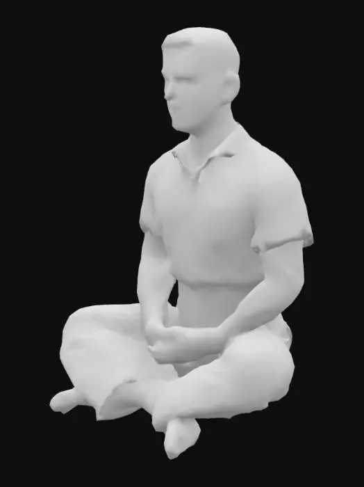 3D model for Serene Meditation
