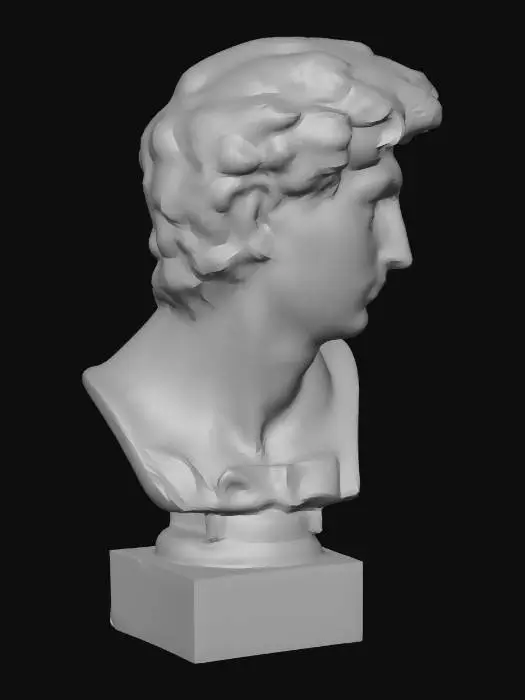 3D model for Bust of David