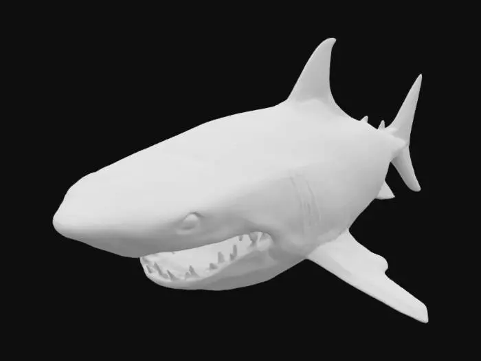 3D model for Сделай акулу классическую которые в море ворту будет зубы и всё пусто