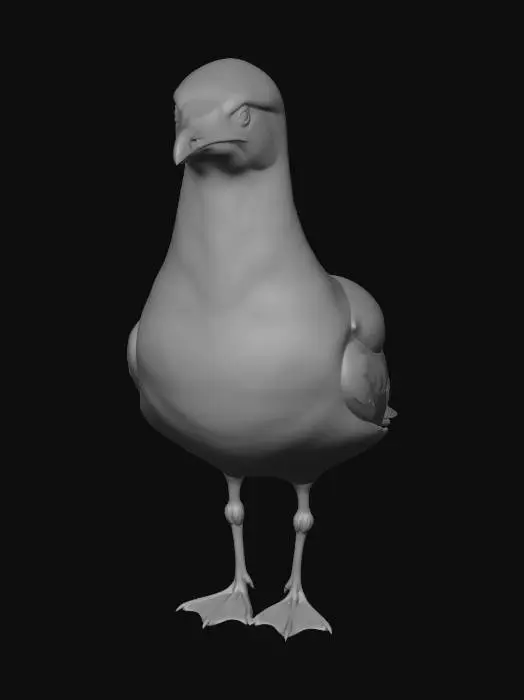 3D model for Seagull on the Dock