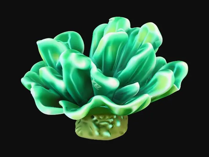 3D model for Ocean Bloom