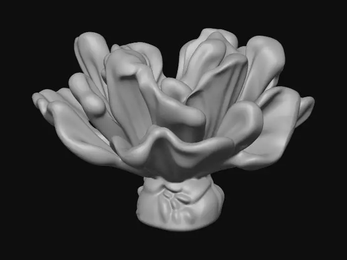 3D model for Ocean Bloom