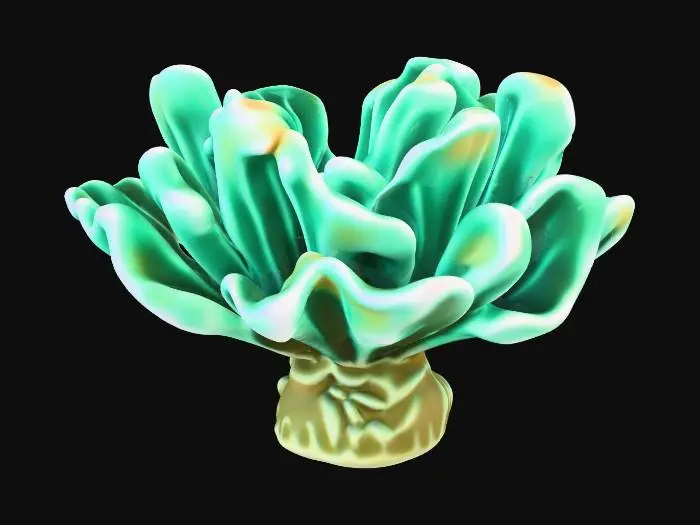 3D model for Ocean Bloom