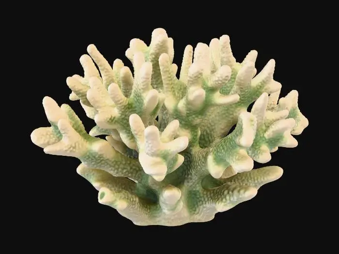 3D model for acropora 3d print